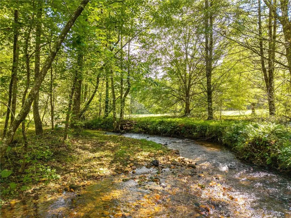 4126 Zion Hill Road Ellijay, GA 30540