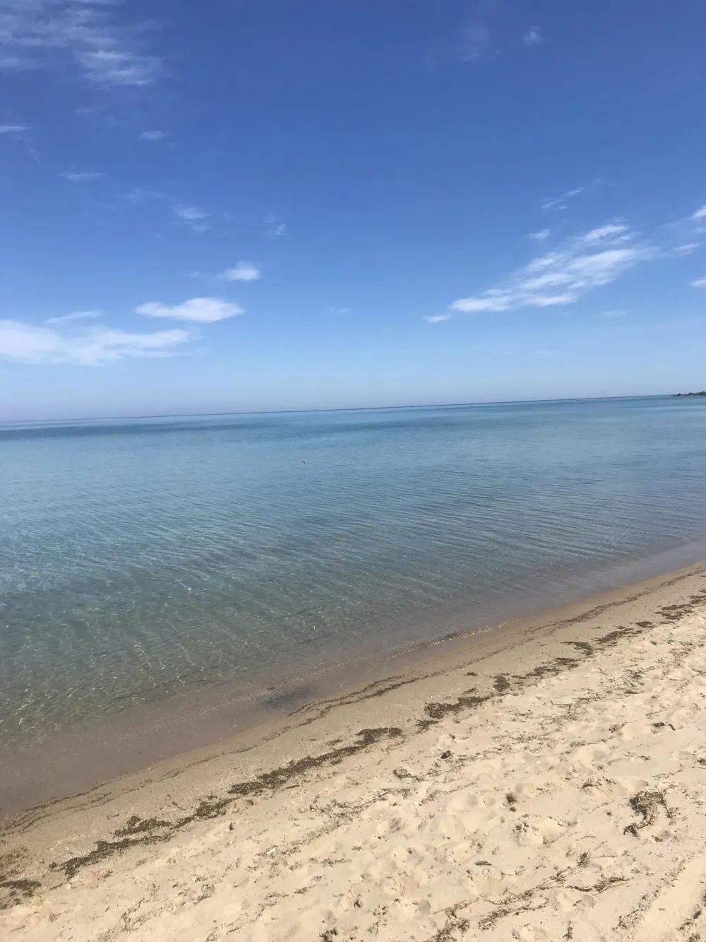 14201 Cathead Bay Northport, MI 49670