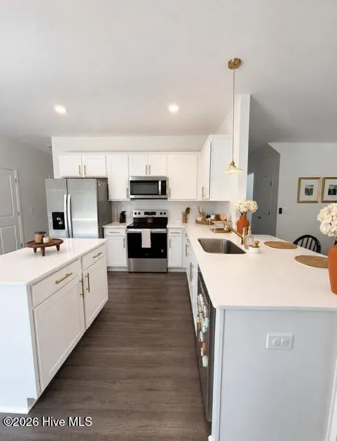 1095 Shoreline Drive Vass, NC 28394