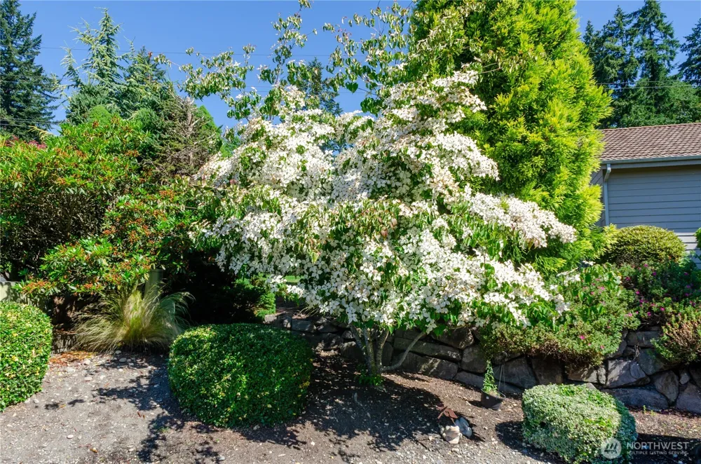 7411 71st Avenue Ct SW Lakewood, WA 98498