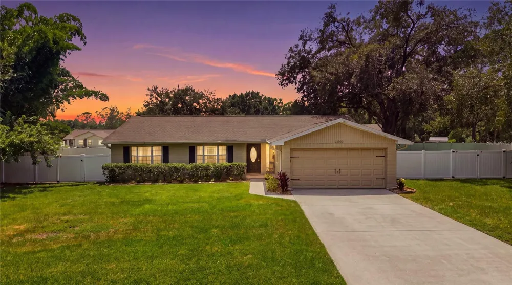 23252 CHARLSTON PLACE Land O Lakes, FL 34639