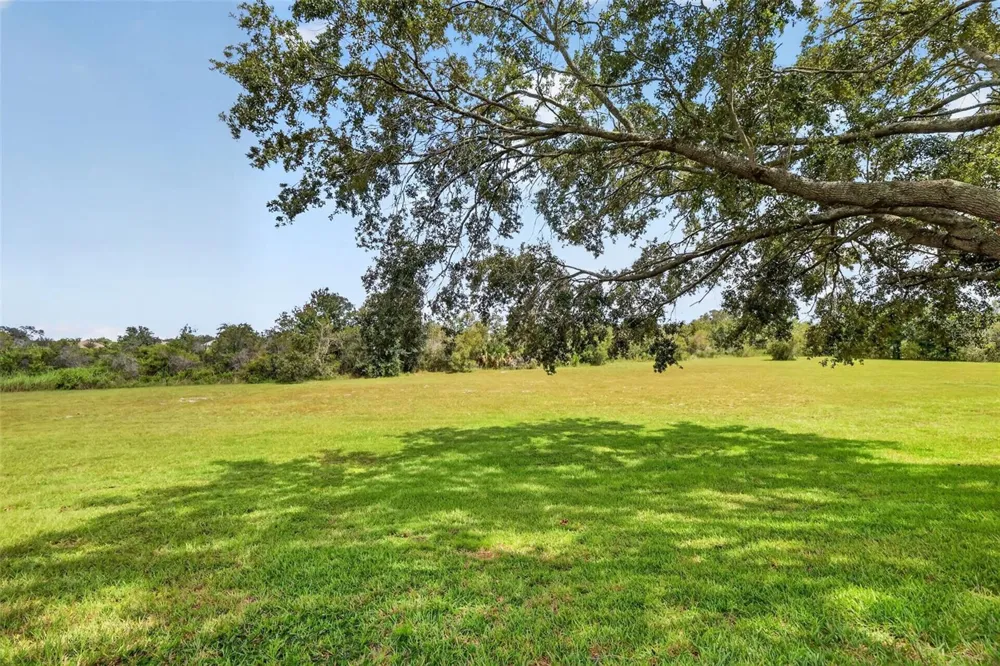 21526 KING HENRY AVENUE Leesburg, FL 34748