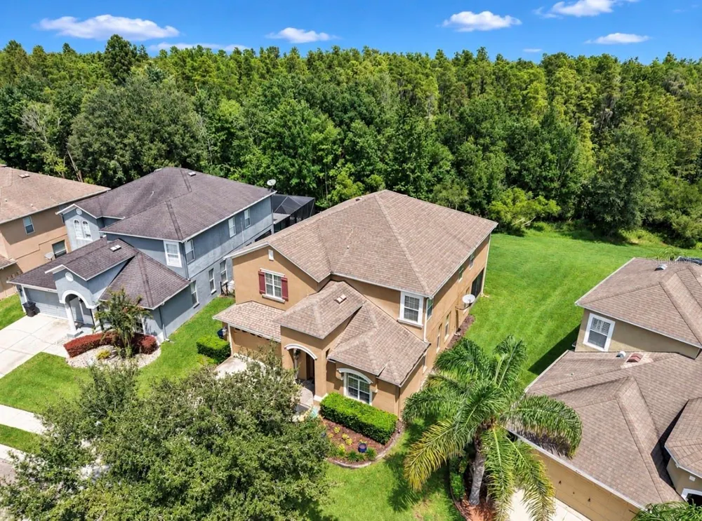 4346 WATERVILLE AVENUE Wesley Chapel, FL 33543