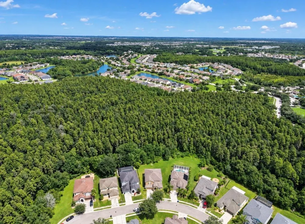 4346 WATERVILLE AVENUE Wesley Chapel, FL 33543