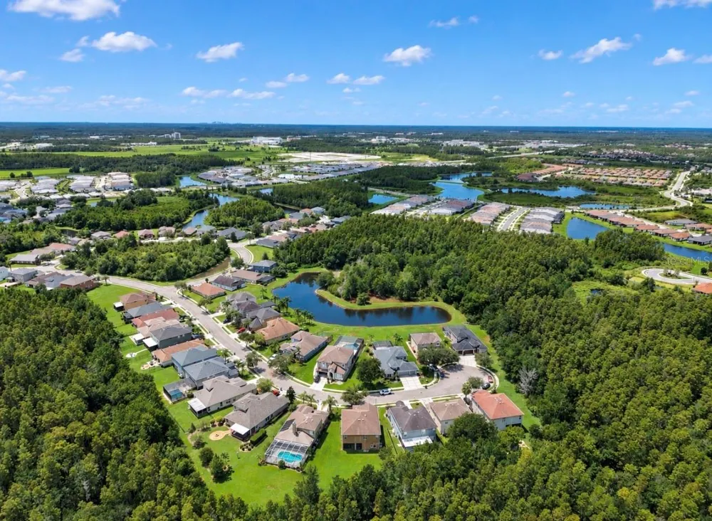 4346 WATERVILLE AVENUE Wesley Chapel, FL 33543