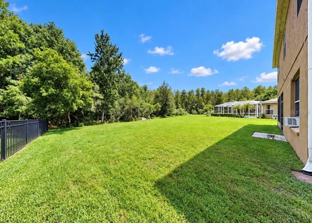 4346 WATERVILLE AVENUE Wesley Chapel, FL 33543