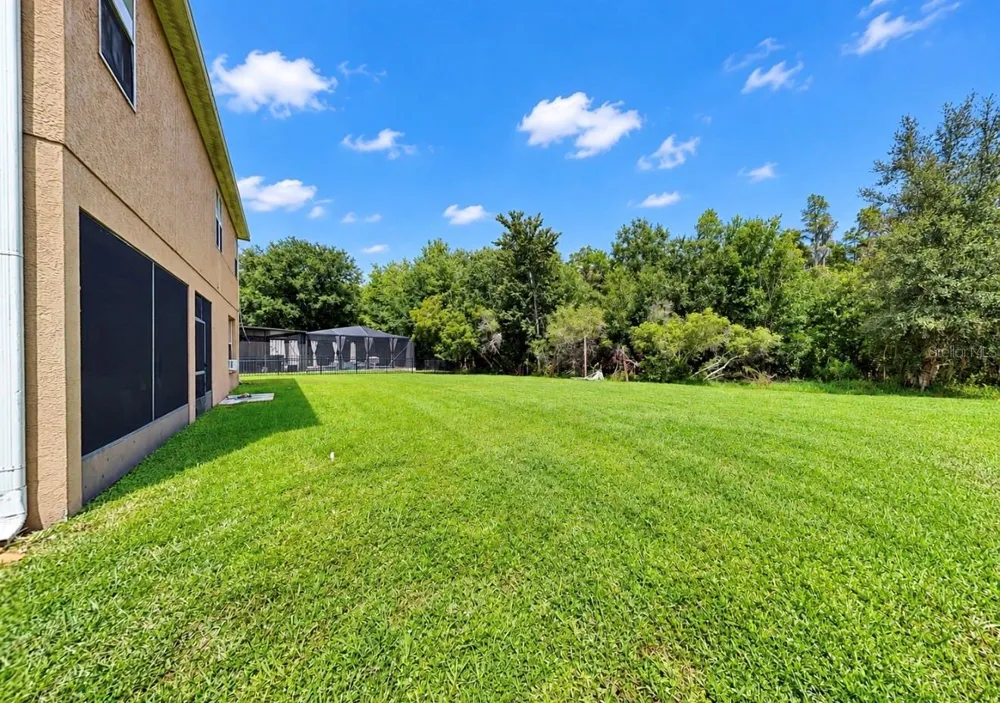 4346 WATERVILLE AVENUE Wesley Chapel, FL 33543