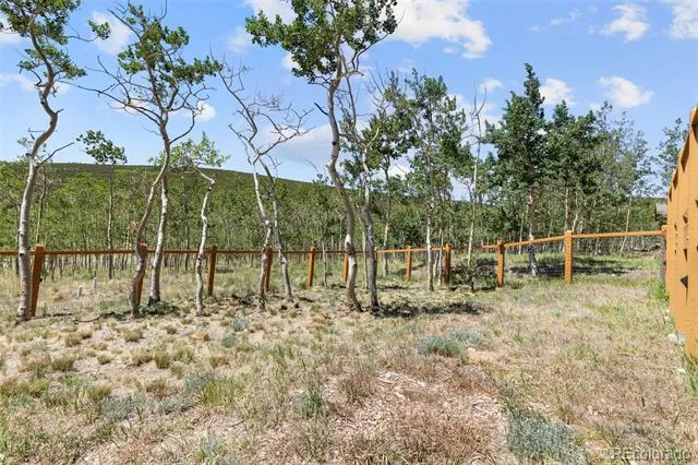 108 Sheep Ridge Road Fairplay, CO 80440