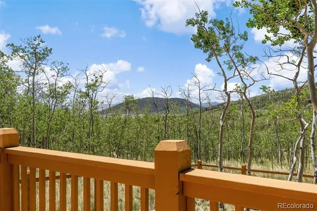 108 Sheep Ridge Road Fairplay, CO 80440