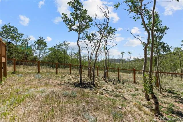 108 Sheep Ridge Road Fairplay, CO 80440