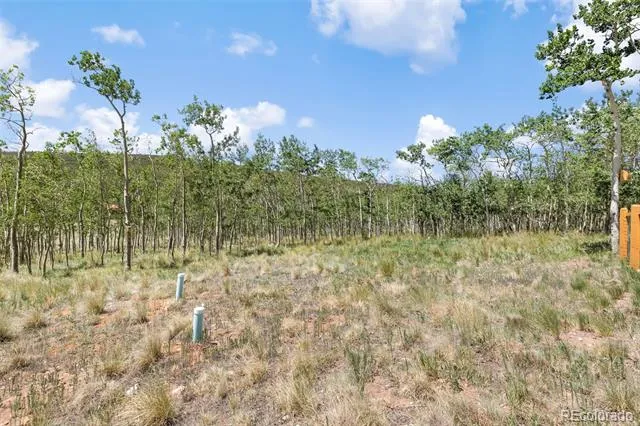 108 Sheep Ridge Road Fairplay, CO 80440
