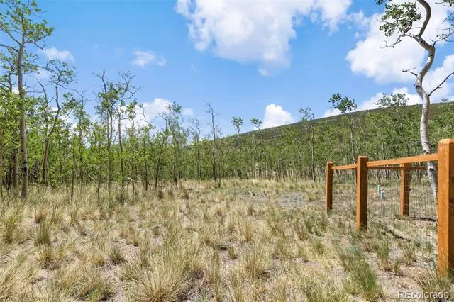 108 Sheep Ridge Road Fairplay, CO 80440