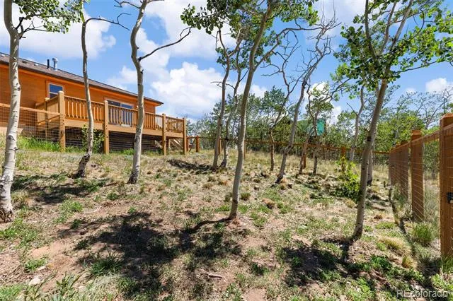 108 Sheep Ridge Road Fairplay, CO 80440