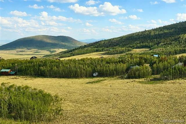 108 Sheep Ridge Road Fairplay, CO 80440