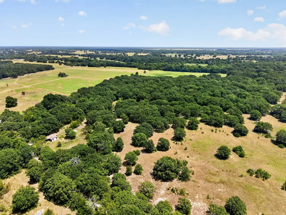 County Road 4816 Wolfe City, TX 75496