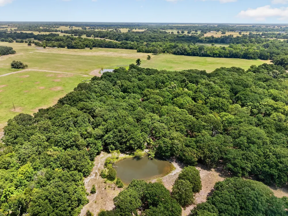 County Road 4816 Wolfe City, TX 75496