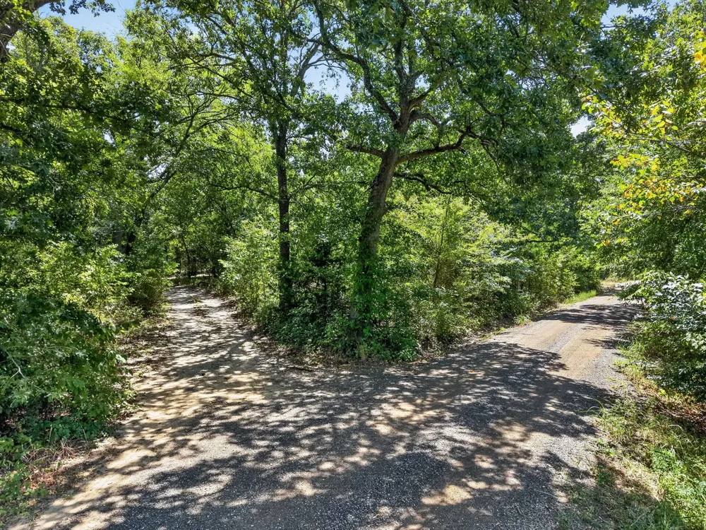 County Road 4816 Wolfe City, TX 75496