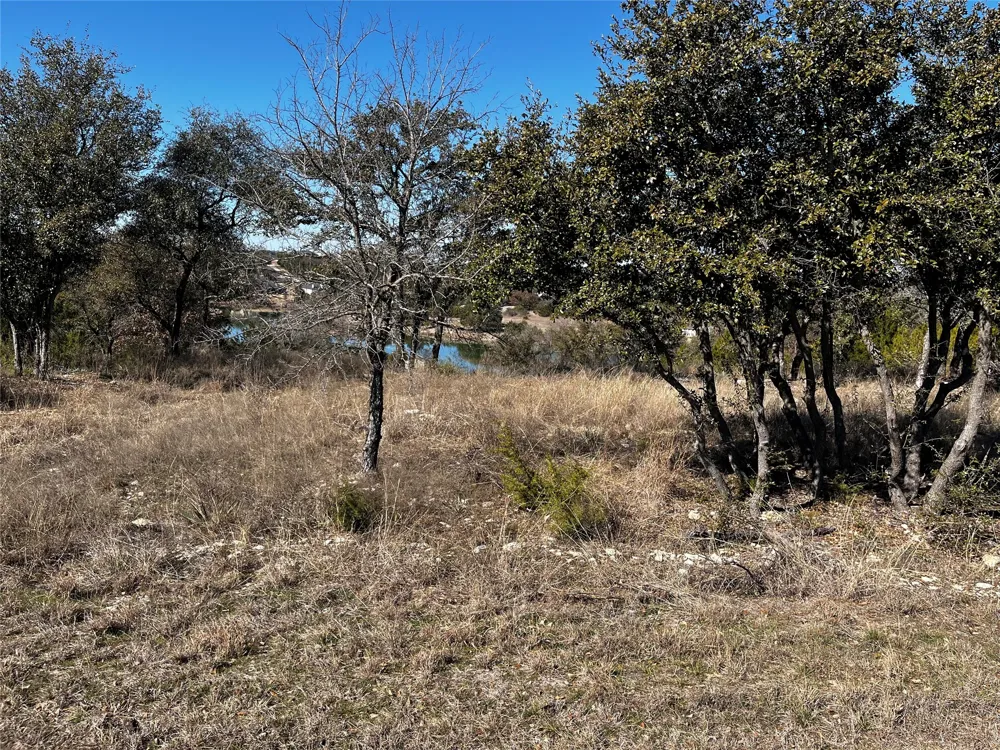 384 Anglers Point Bluff Dale, TX 76433