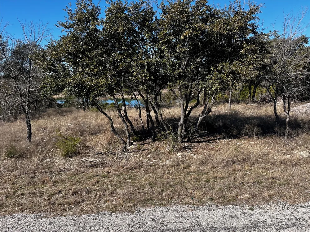 384 Anglers Point Bluff Dale, TX 76433