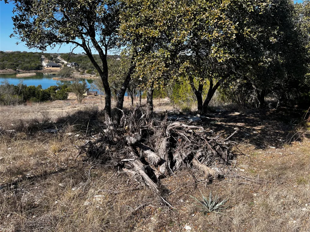 384 Anglers Point Bluff Dale, TX 76433