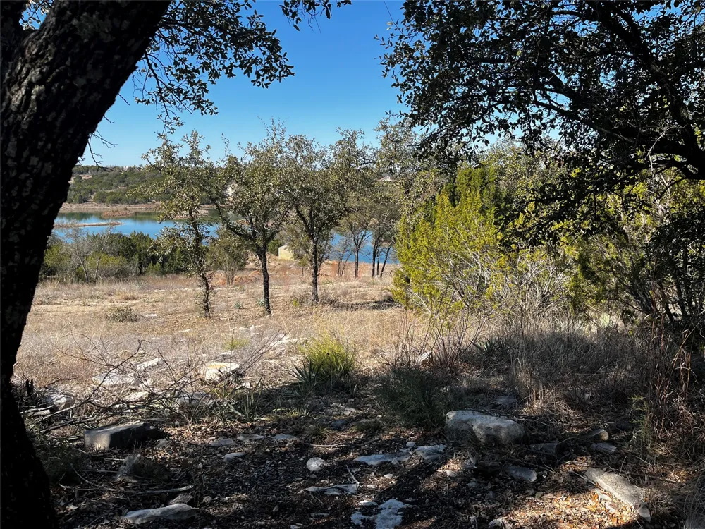 384 Anglers Point Bluff Dale, TX 76433