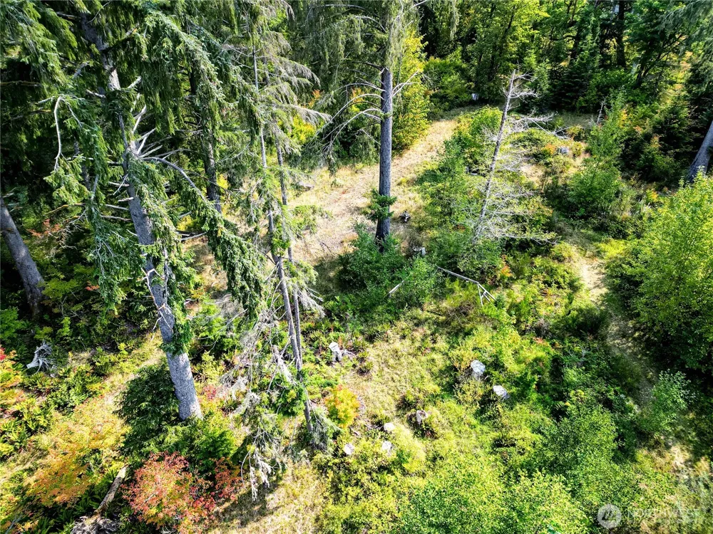 203503 Hwy 101 Beaver, WA 98305
