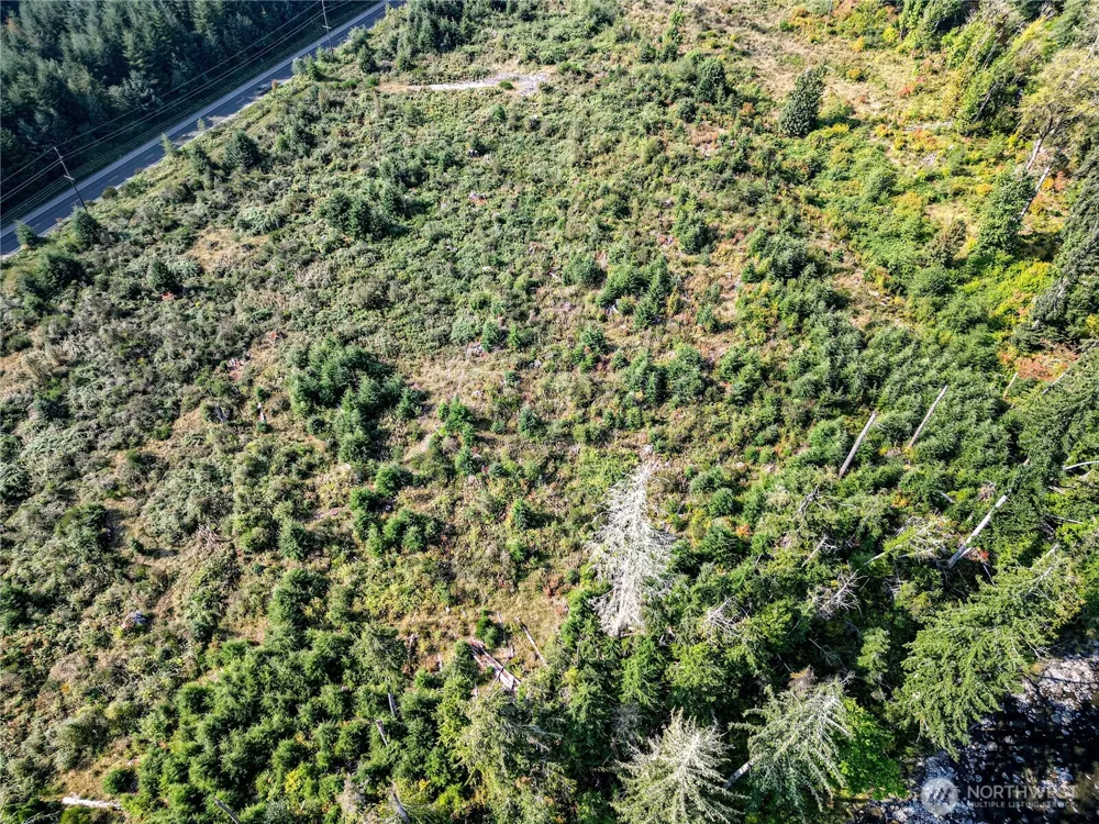 203503 Hwy 101 Beaver, WA 98305