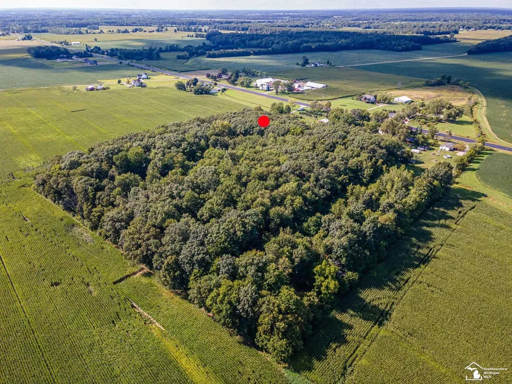8945 S Custer Road Raisinville Township, MI 48161
