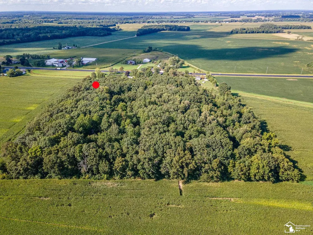 8945 S Custer Road Raisinville Township, MI 48161