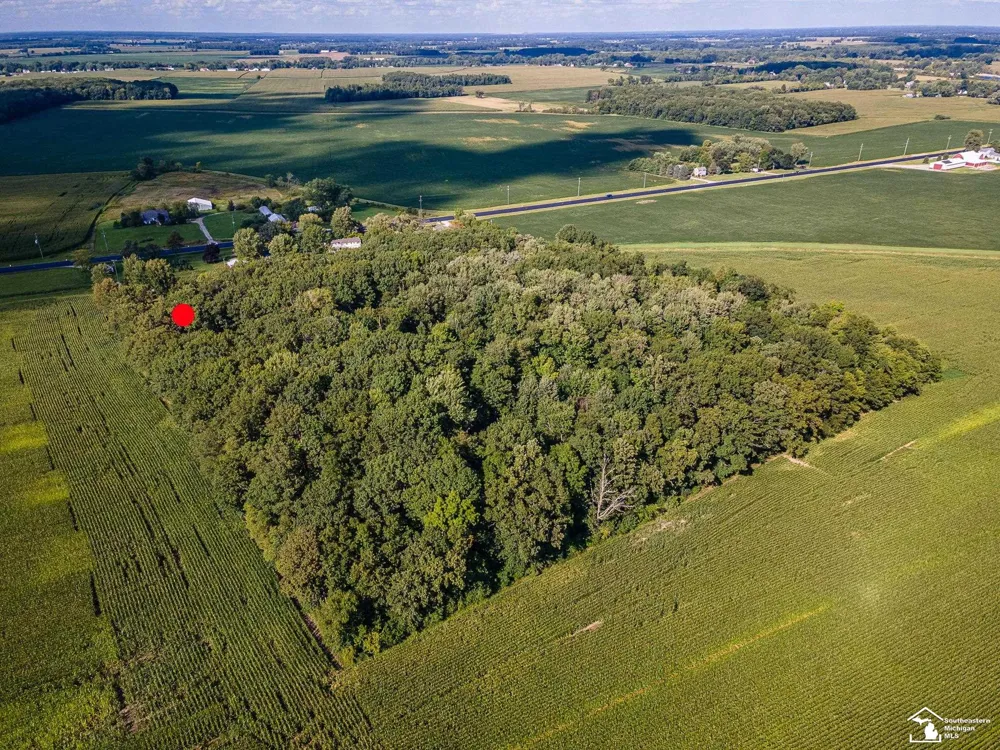 8945 S Custer Road Raisinville Township, MI 48161
