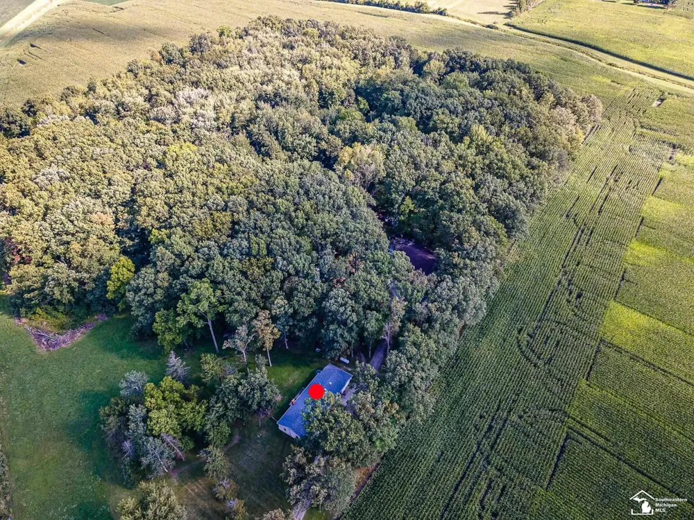 8945 S Custer Road Raisinville Township, MI 48161
