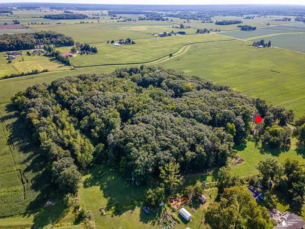 8945 S Custer Road Raisinville Township, MI 48161