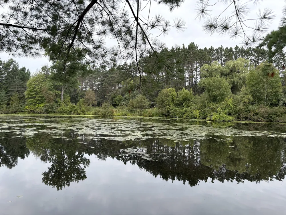 1455 Eldon Court Sage Township, MI 48624