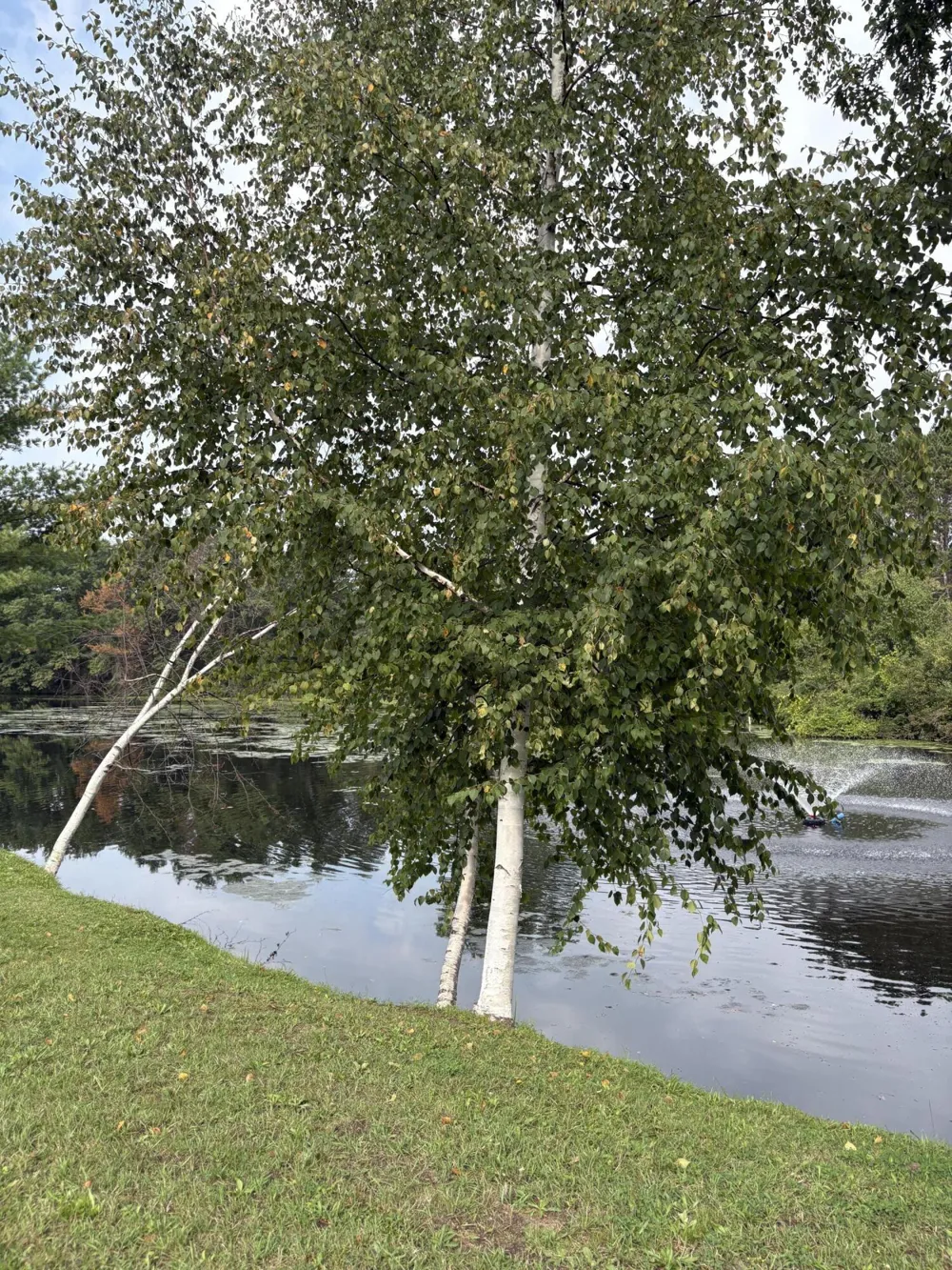 1455 Eldon Court Sage Township, MI 48624