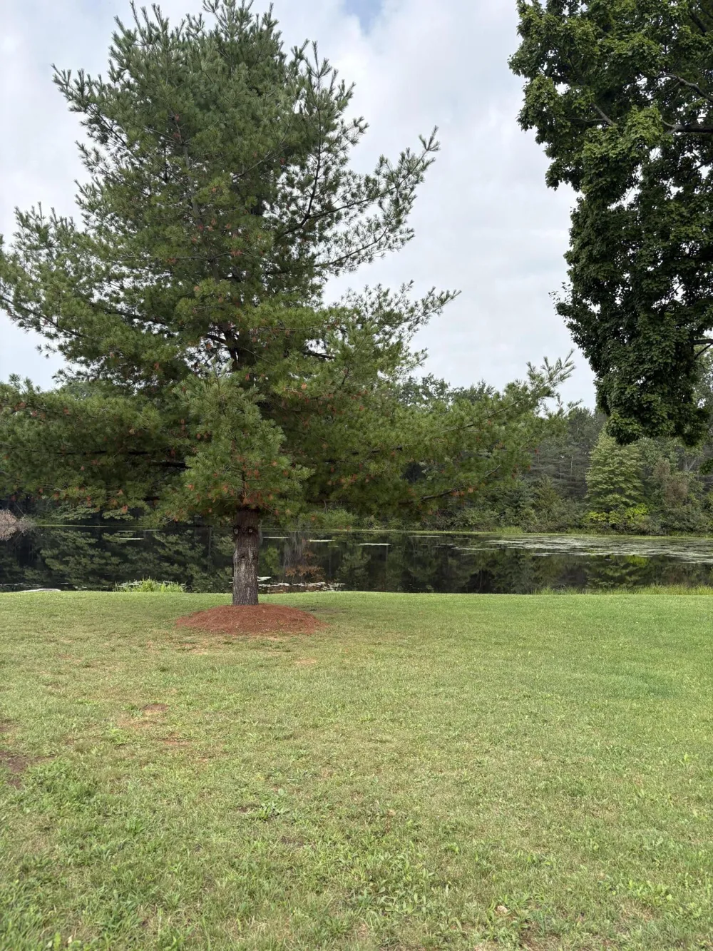 1455 Eldon Court Sage Township, MI 48624