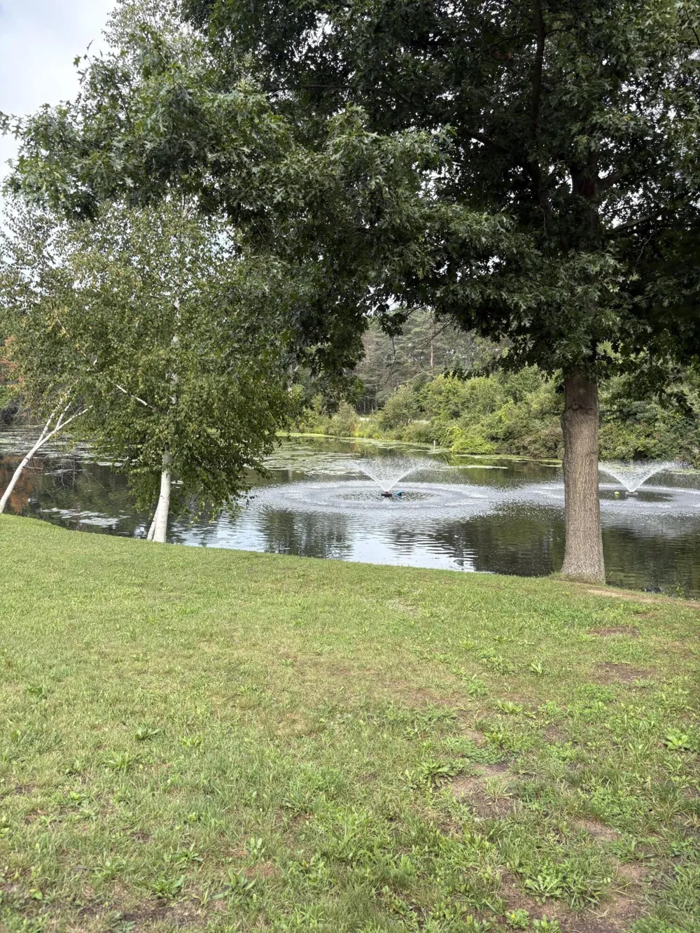 1455 Eldon Court Sage Township, MI 48624