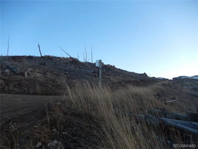 654 Hernia Hill Trail Bellvue, CO 80512