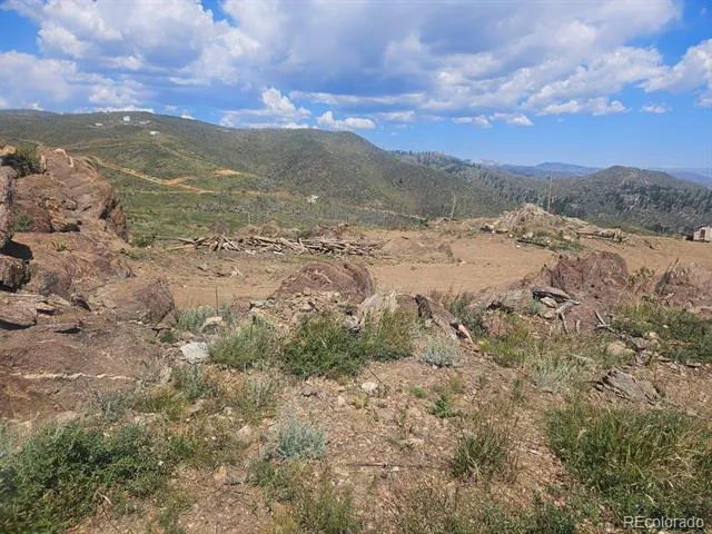654 Hernia Hill Trail Bellvue, CO 80512