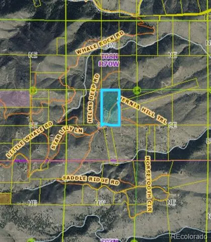 654 Hernia Hill Trail Bellvue, CO 80512