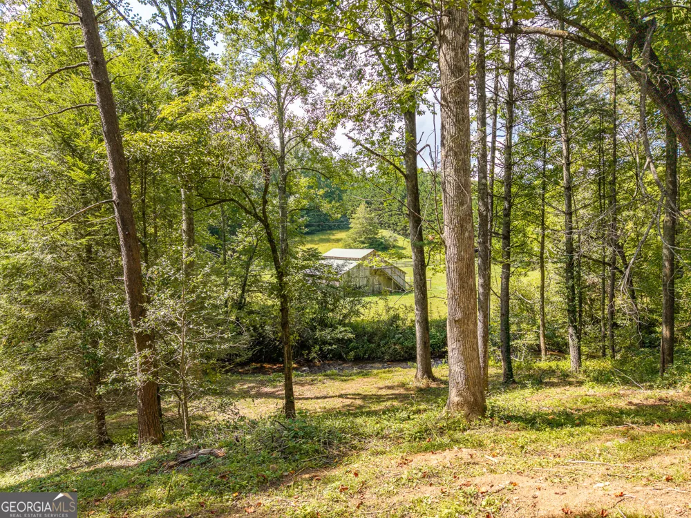 4126 Zion Hill RD Ellijay, GA 30540