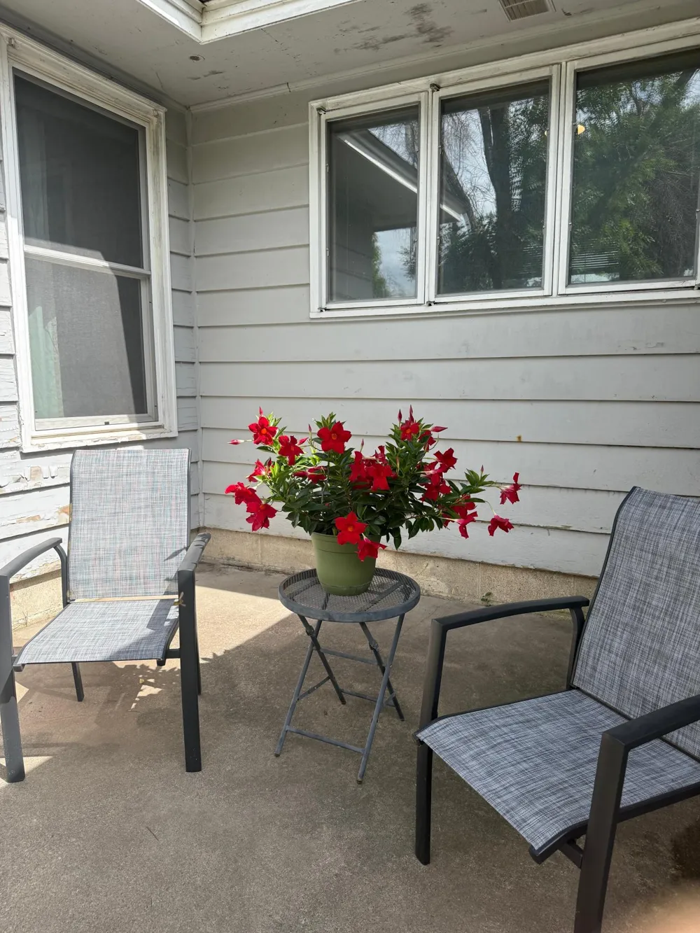 709 7th Street Farmington, MN 55024