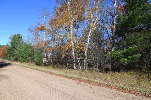 TBD Pacer Loop