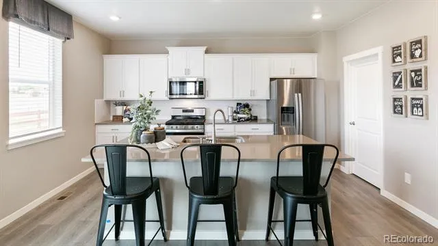 5726 Gelbray Place Windsor, CO 80528