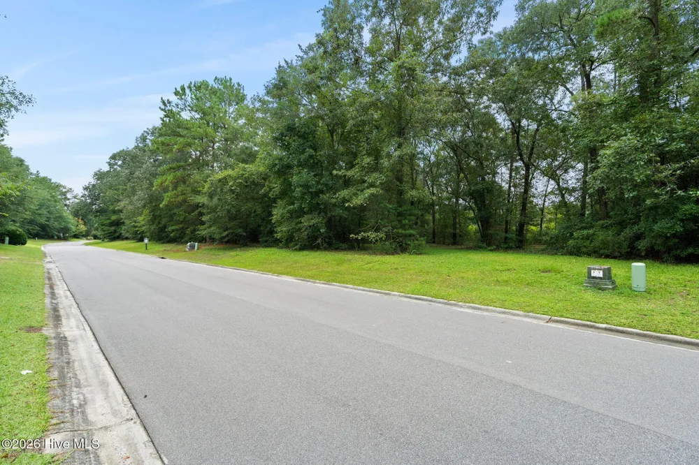 167 Falling Water Way Wallace, NC 28466