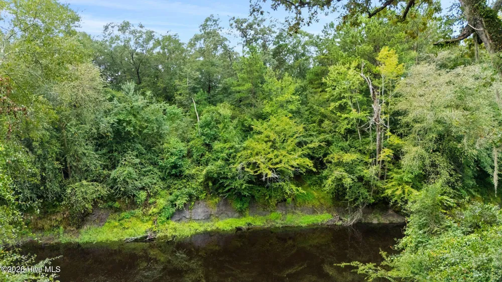 167 Falling Water Way Wallace, NC 28466