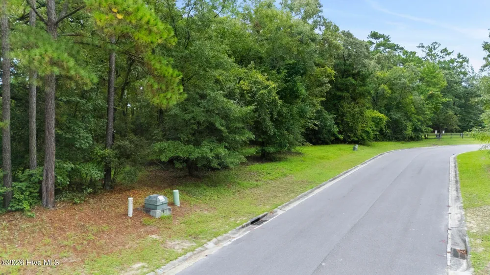 167 Falling Water Way Wallace, NC 28466