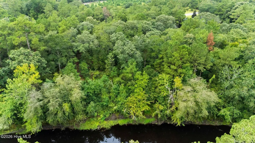 167 Falling Water Way Wallace, NC 28466