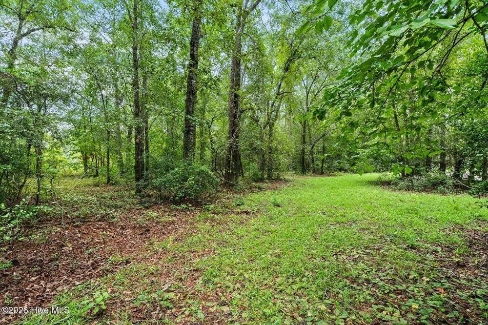 167 Falling Water Way Wallace, NC 28466