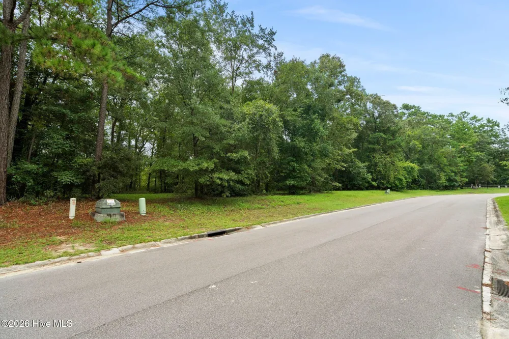 167 Falling Water Way Wallace, NC 28466