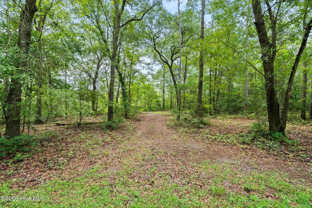 167 Falling Water Way Wallace, NC 28466